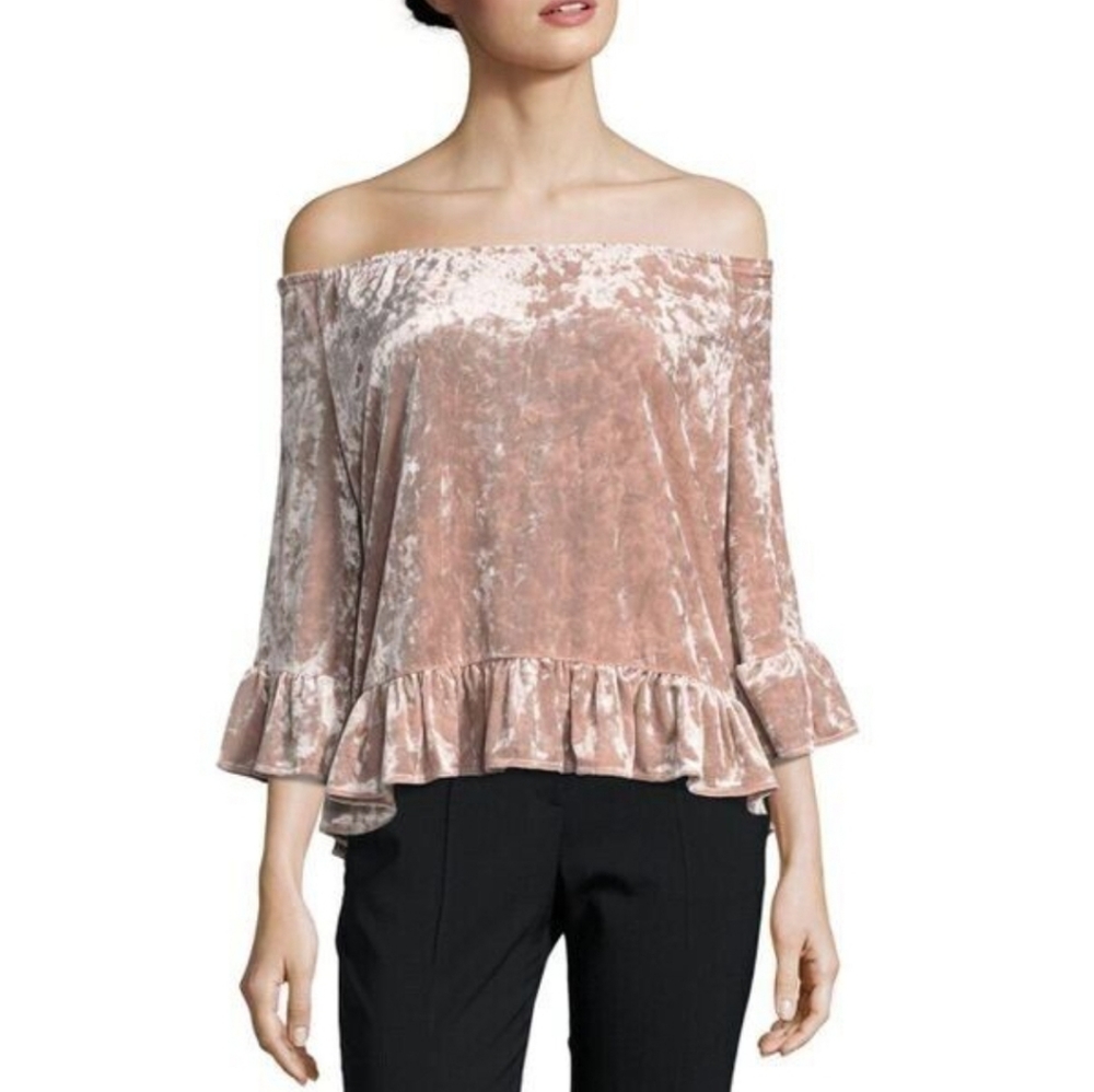 Blush pink crushed velvet top by Sanctuary size Medium